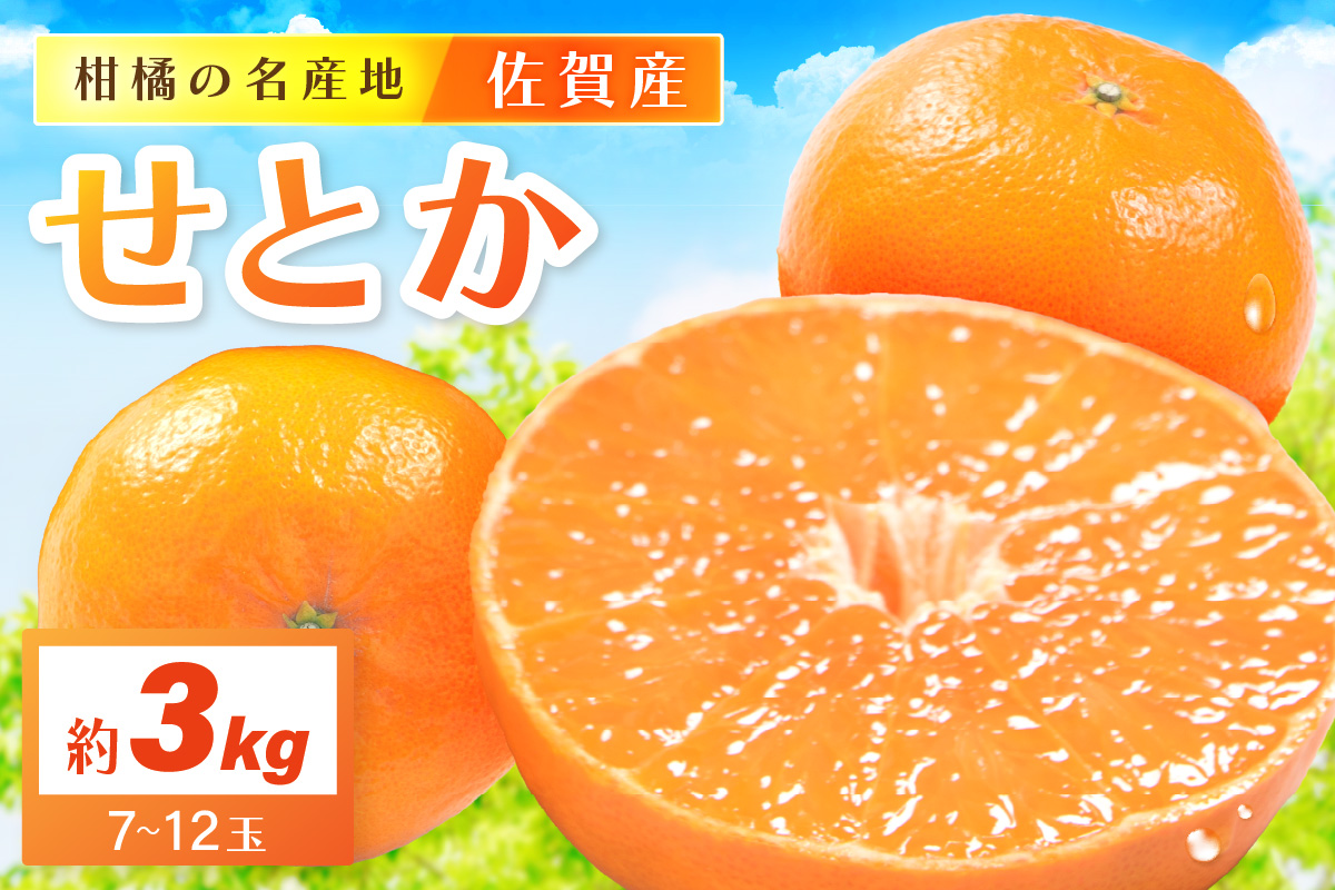 佐賀産せとか 約3kg (7-12玉) (伊万里市) 柑橘類 147-B801