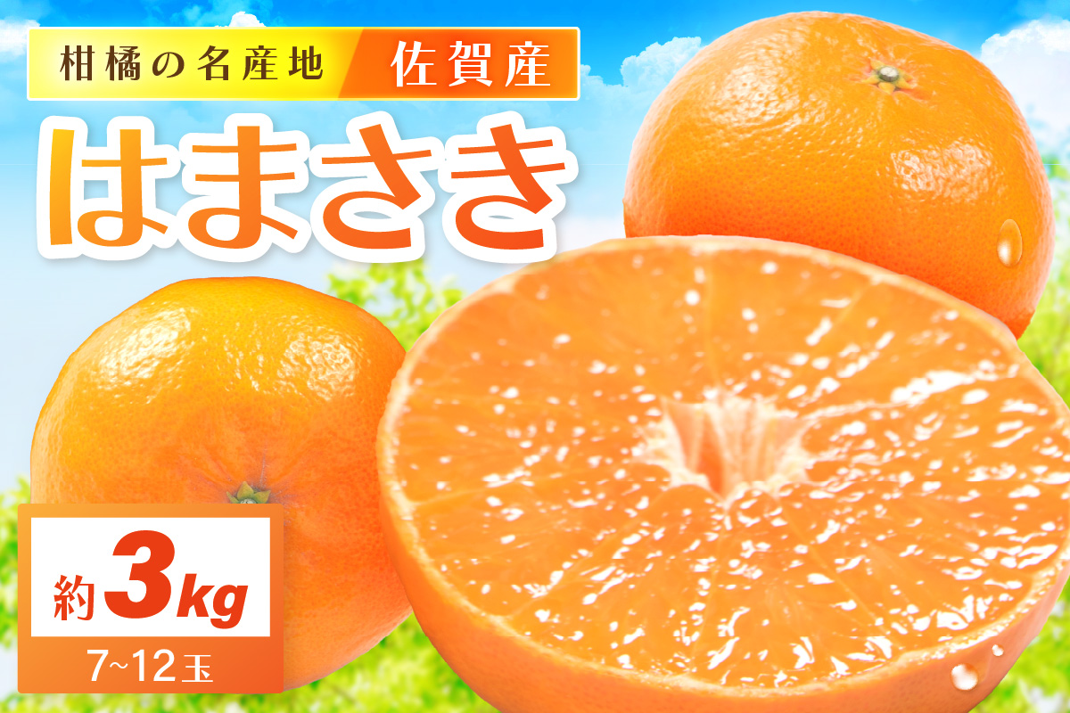 佐賀産 柑橘 「はまさき」 約3kg 箱 (7-12玉) 147-B805