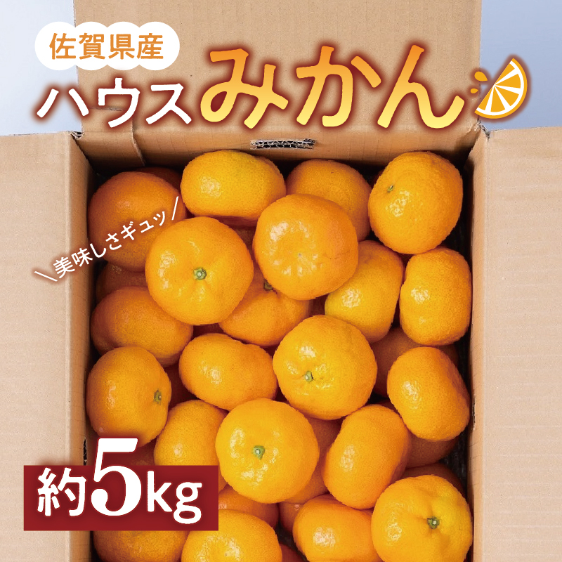 佐賀県産ハウスみかん5kg フルーツ 柑橘類 B387