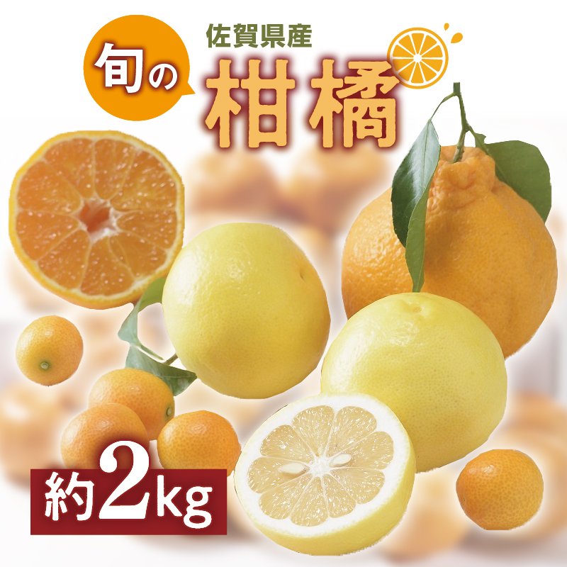 佐賀の旬の柑橘をお届け 佐賀産かんきつ2kg B396