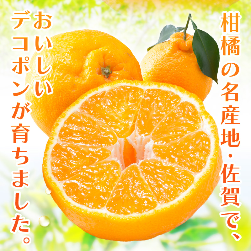 äœè³ç£ ãã³ãã³ çŽ5kg (15-24ç) (äŒäžéåž) ææ©é¡ 147-B803