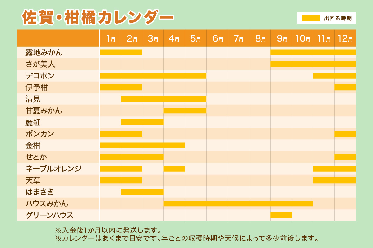 佐賀の旬の柑橘をお届け 佐賀産かんきつ2kg 147-B396