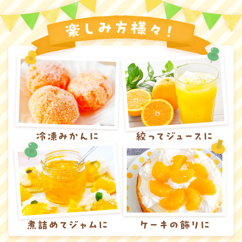 äœè³ç£ ãã³ãã³ çŽ5kg (15-24ç) (äŒäžéåž) ææ©é¡ 147-B803