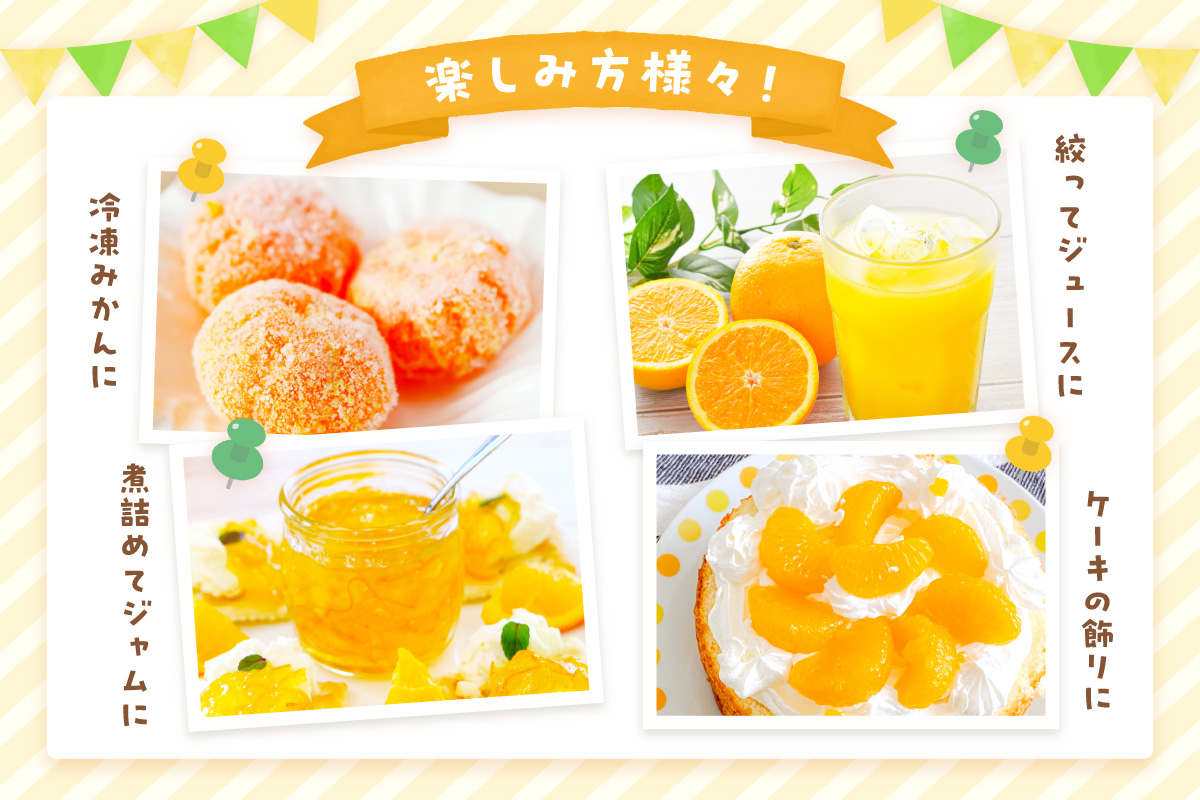 佐賀の旬の柑橘をお届け 佐賀産かんきつ2kg 147-B396