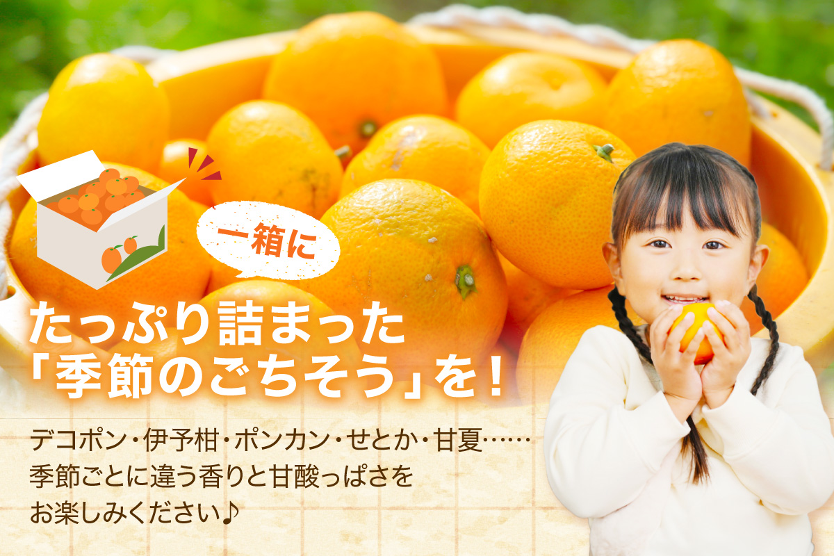 佐賀の旬の柑橘をお届け 佐賀産かんきつ2kg 147-B396