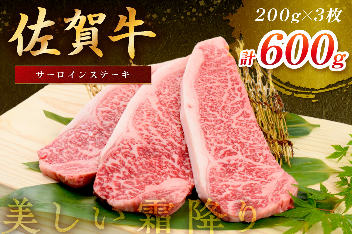 佐賀牛 サーロインステーキ 600g(200g×3枚) 149-J1819