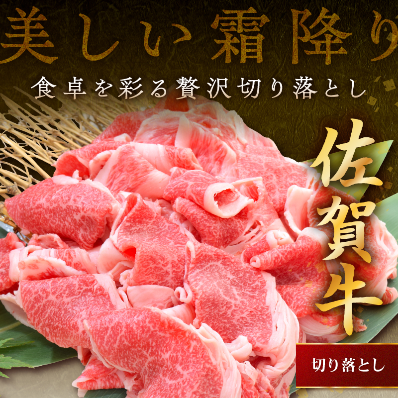 佐賀牛切り落とし 800g(400g×2パック) 149-J1823