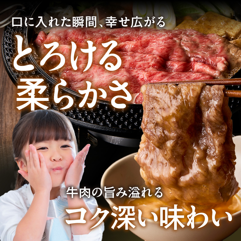 【 佐賀牛 500g 】佐賀牛 艶さし！ しゃぶしゃぶ すき焼き 500g 159-J1366
