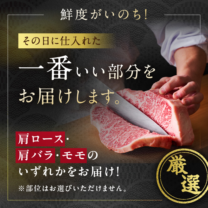 【 佐賀牛 500g 】佐賀牛 艶さし！ しゃぶしゃぶ すき焼き 500g 159-J1366