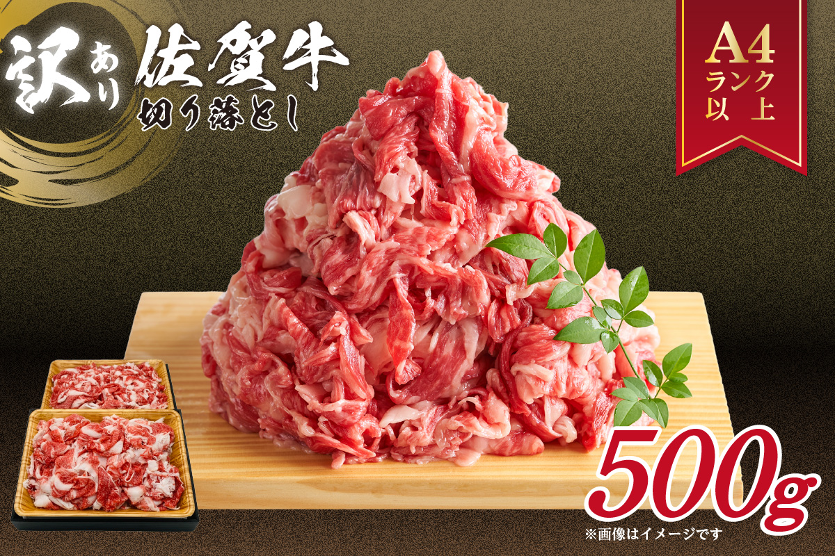 佐賀牛 訳あり 切り落とし 500g 159-J1694