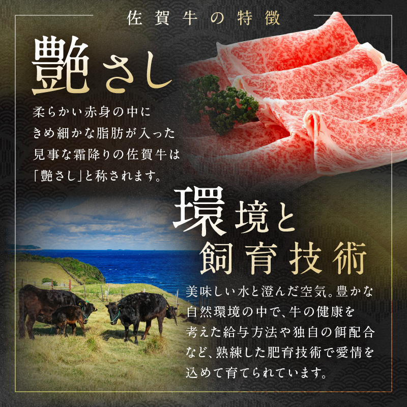 【 佐賀牛 500g 】佐賀牛 艶さし！ しゃぶしゃぶ すき焼き 500g 159-J1366