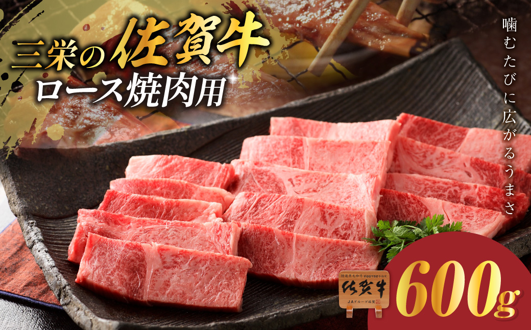 三栄の佐賀牛ロース焼肉用（600g） 167-J885