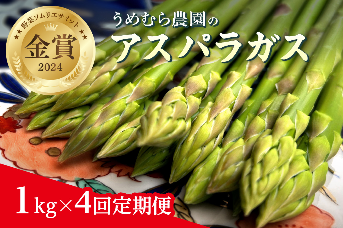 【3月～8月配送】野菜ソムリエサミット『金賞』受賞、自噴水と寒暖差が育んだアスパラ定期便1kg×4回 999-B623
