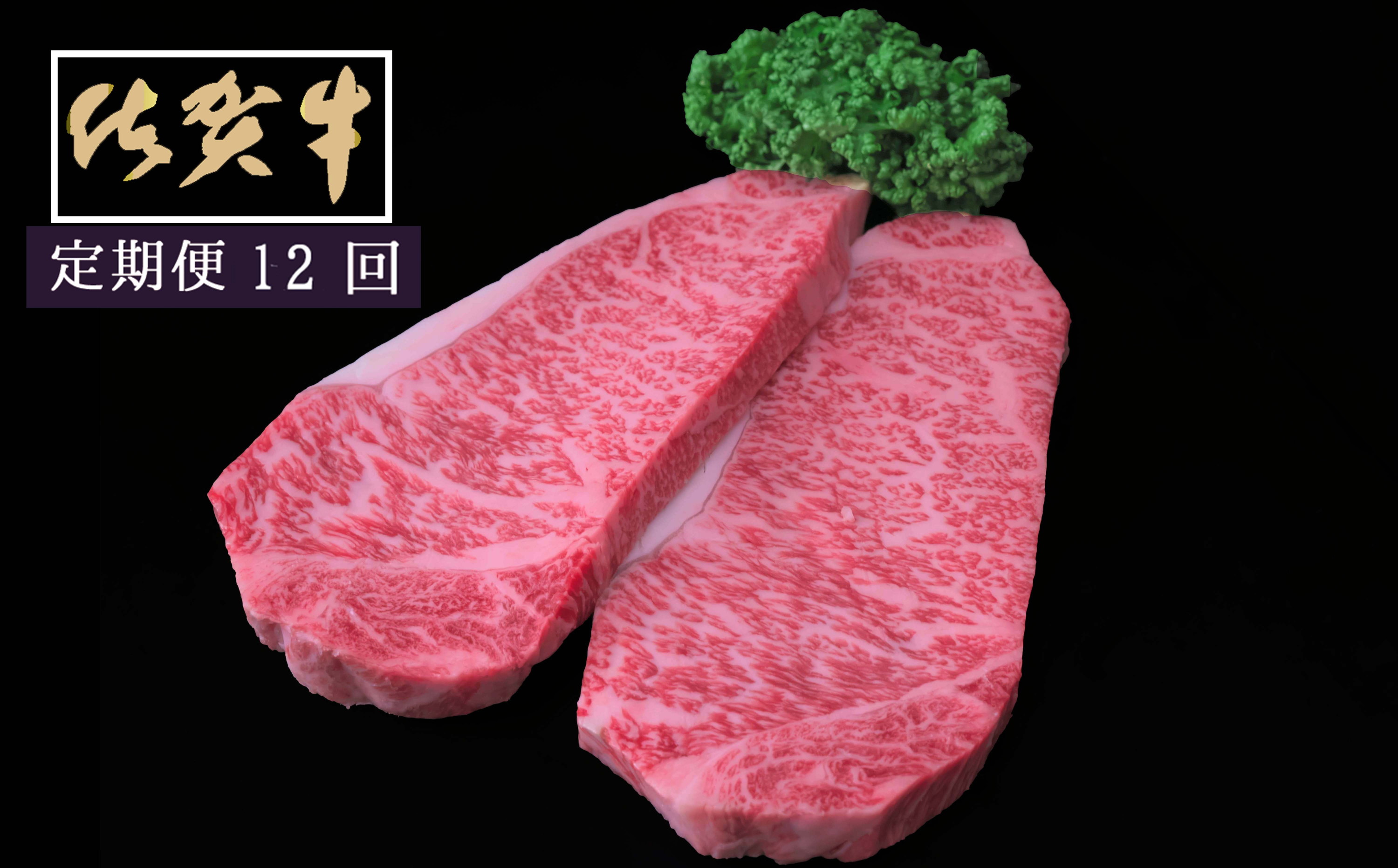 菴占ウ迚帙し繝シ繝ュ繧、繝ウ繧ケ繝繝シ繧ュ200ステ2譫壹12繝オ譛磯」邯壼ョ壽悄萓ソ 999-J1522