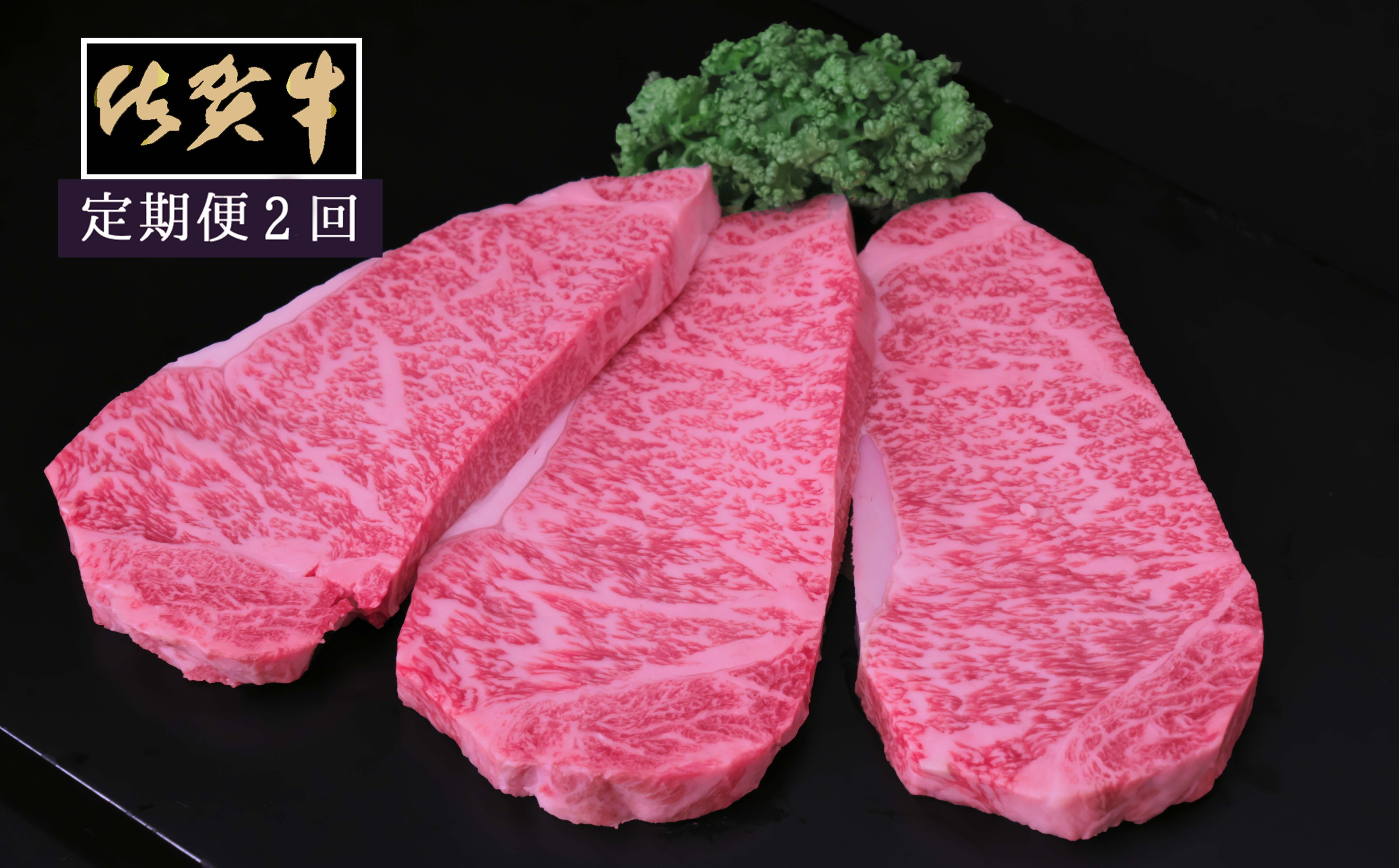 菴占ウ迚帙し繝シ繝ュ繧、繝ウ繧ケ繝繝シ繧ュ200ステ3譫壹2繝オ譛磯」邯壼ョ壽悄萓ソ 999-J1523