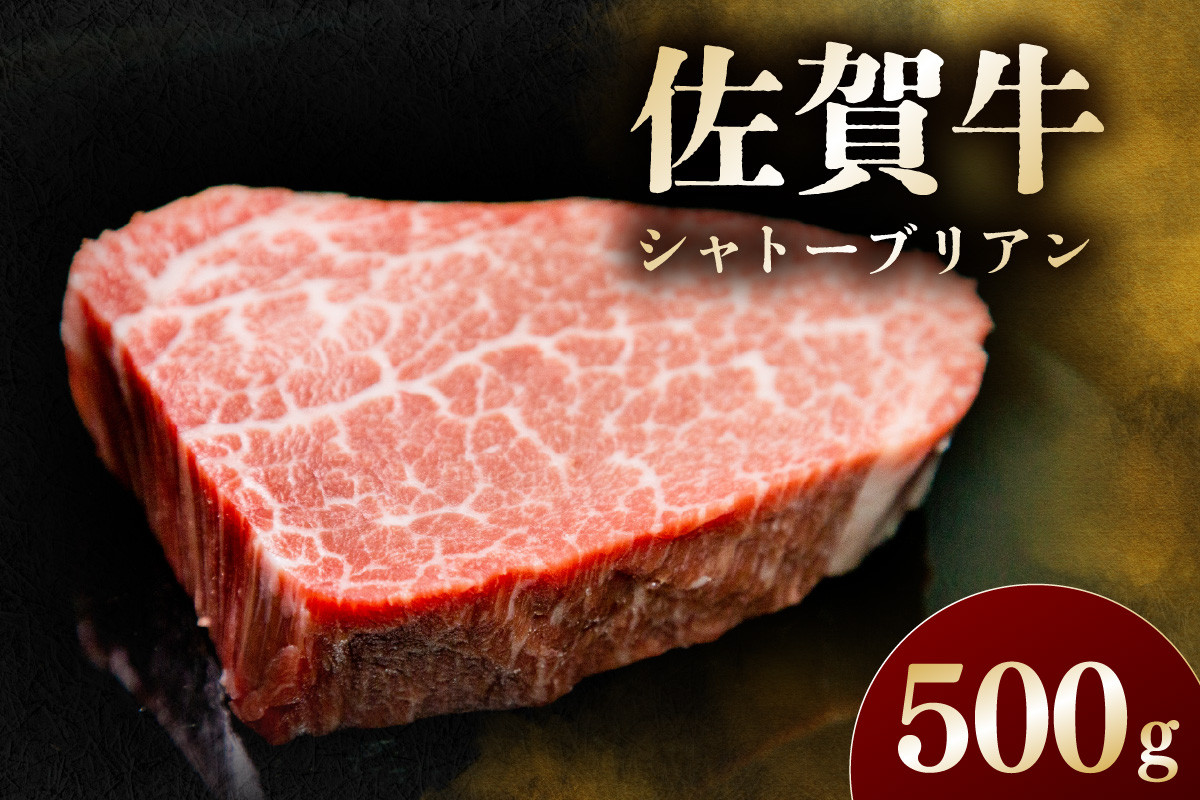 佐賀牛 シャトーブリアン 500g 194-J1608