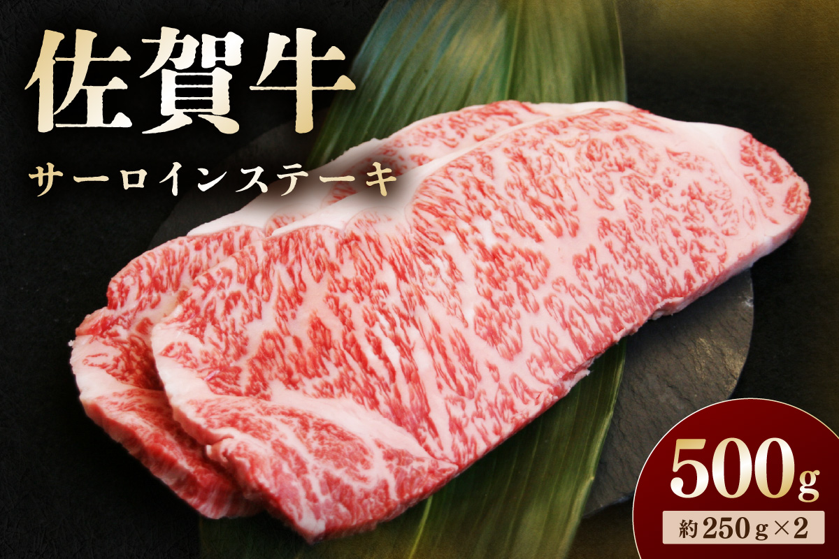 佐賀牛 サーロインステーキ 500g 194-J1903