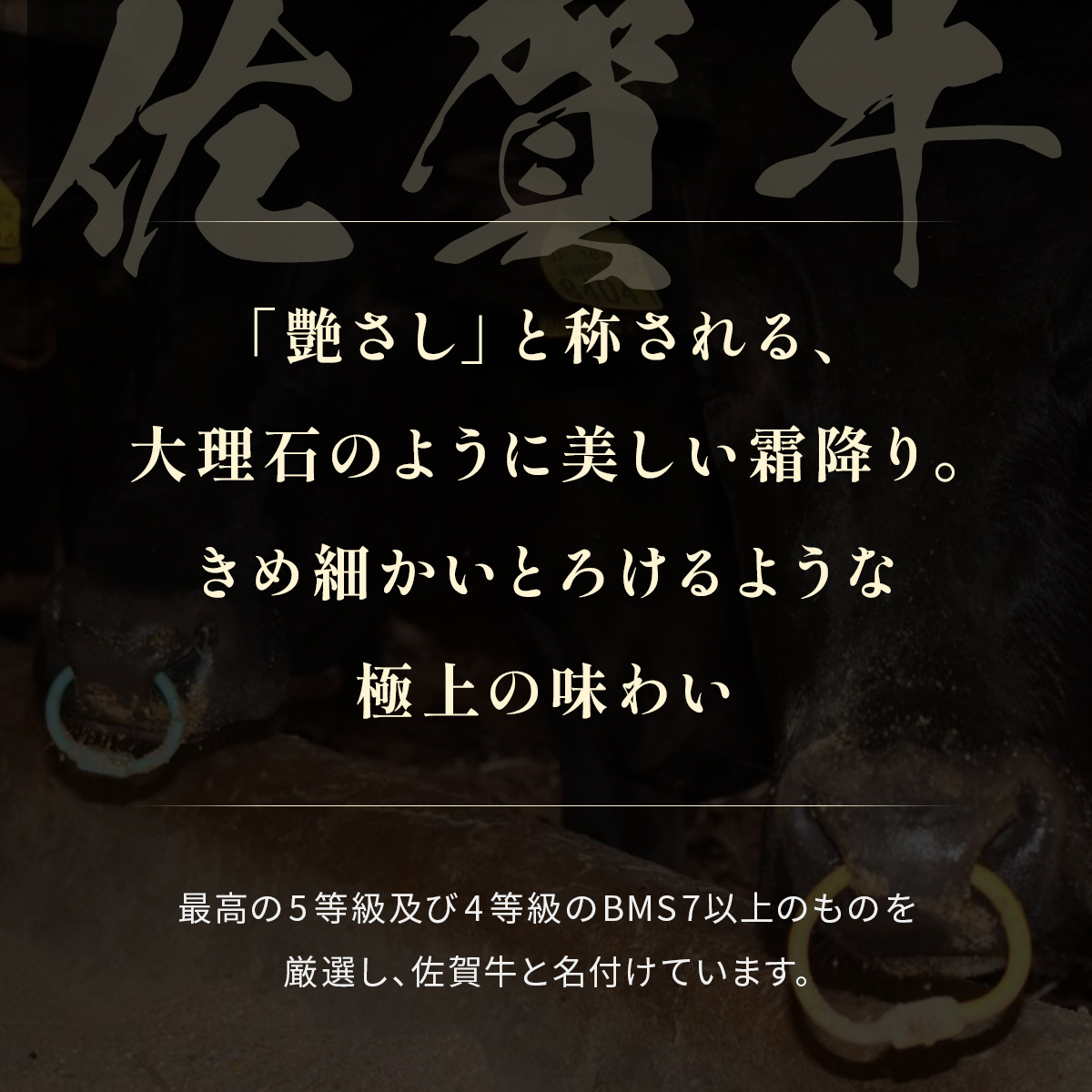 【和牛セレブ】佐賀牛 すき焼き肩ロース 200g 198-J1398