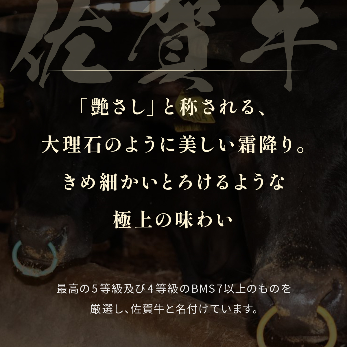 【和牛セレブ】佐賀牛 サ―ロインステーキ 200g 198-J1407