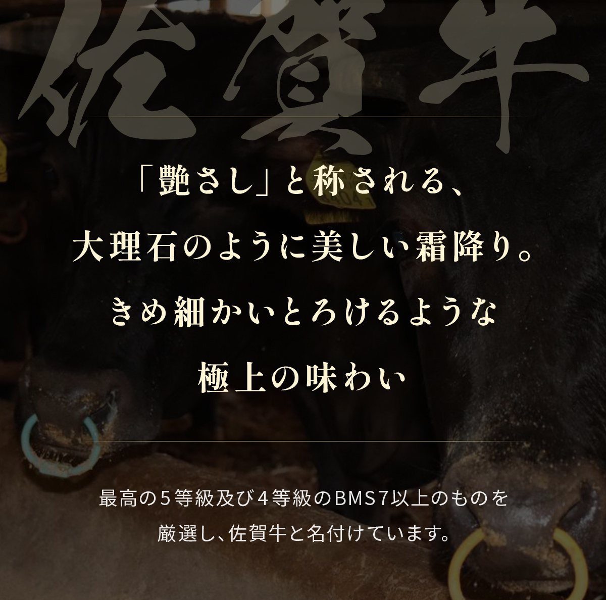 【和牛セレブ】佐賀牛 サ―ロインステーキ 200g×2枚 198-J1408