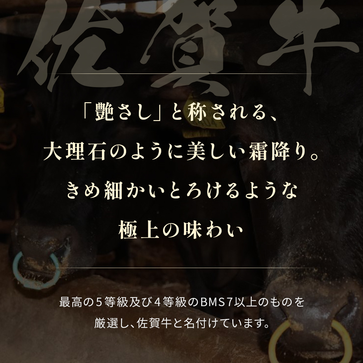 ãåçã»ã¬ããäœè³ç ãµãŒãã€ã³ã¹ããŒã 200gÃ5æ 198-J1411