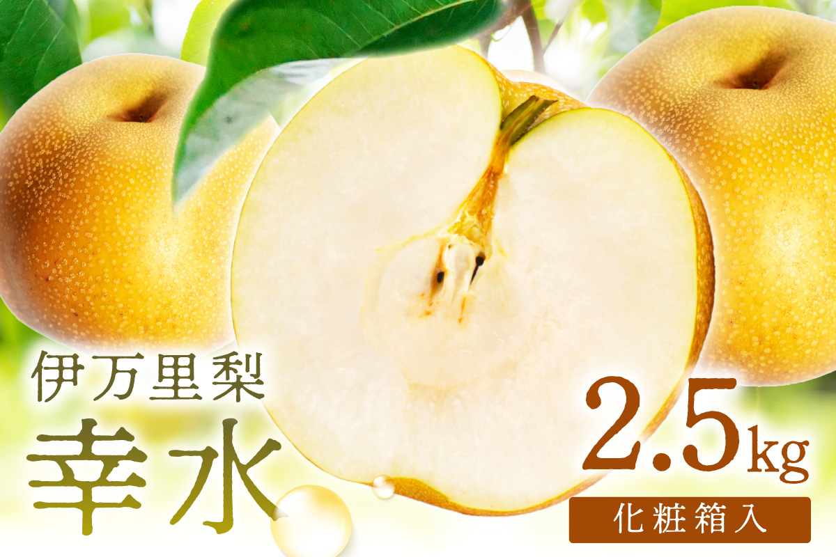 【 数量限定 】 伊万里 梨 幸水 2.5kg 化粧箱 199-B1081