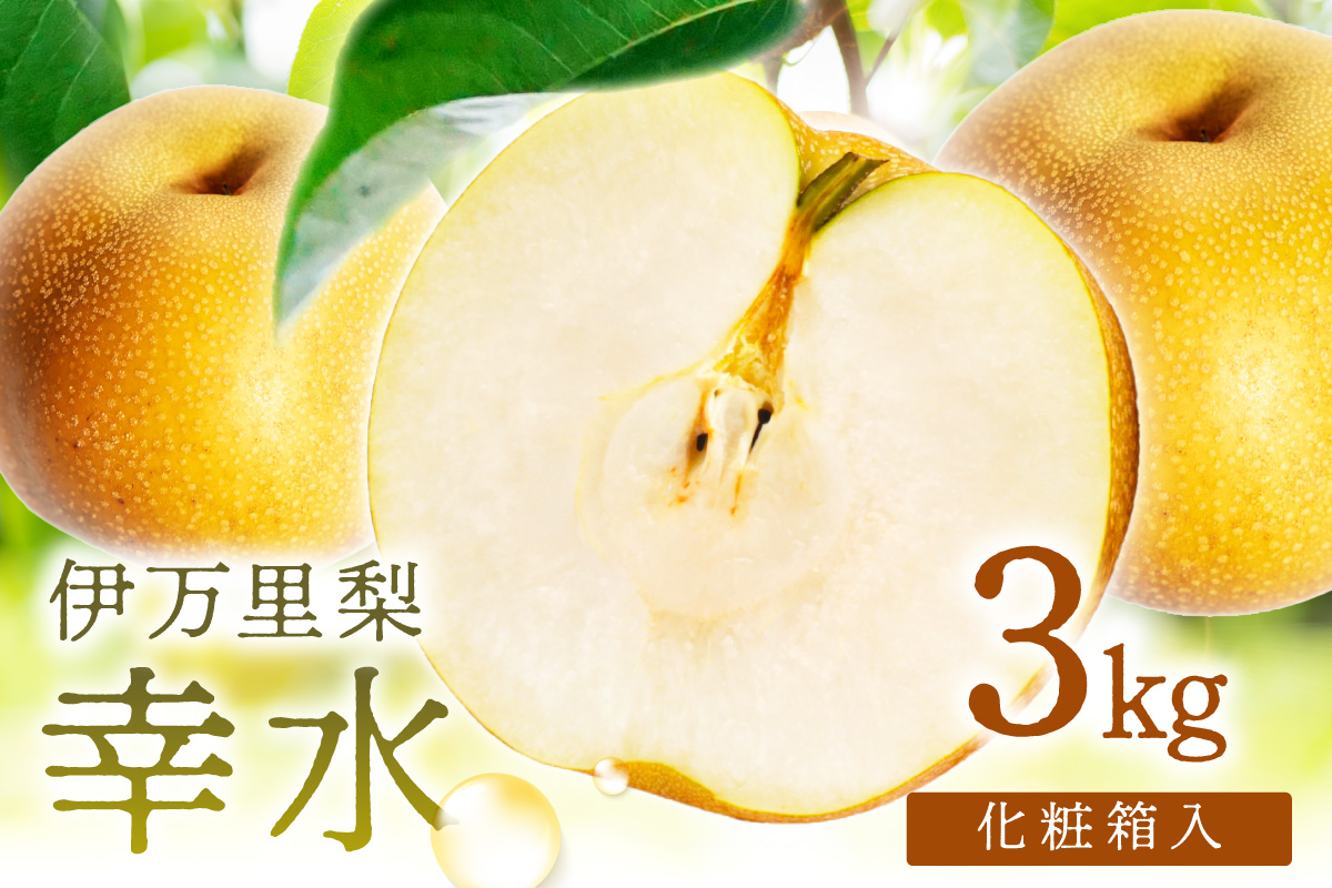 【 数量限定 】 伊万里 梨 幸水 3kg 化粧箱 199-B1082