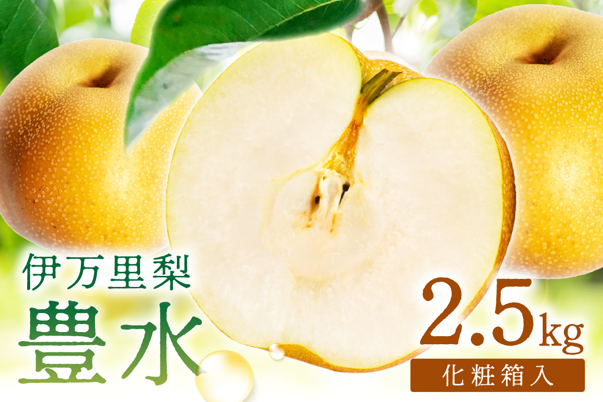 【 数量限定 】 伊万里 梨 豊水 2.5kg 化粧箱 199-B1083