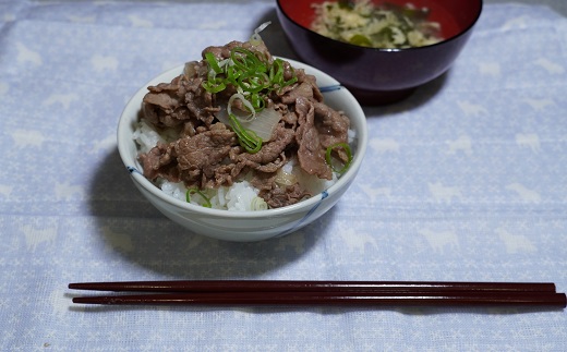 佐賀牛 切り落とし 600g（300g×2パック） 206-J1654