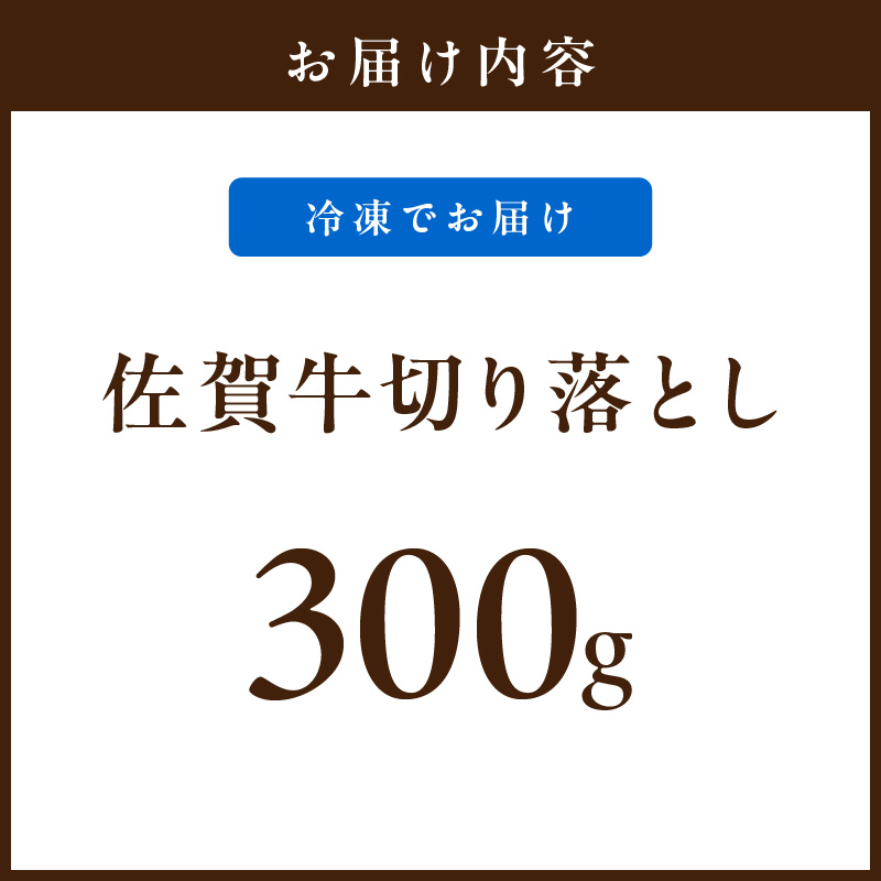 佐賀牛 切り落とし 300g 206-J1653