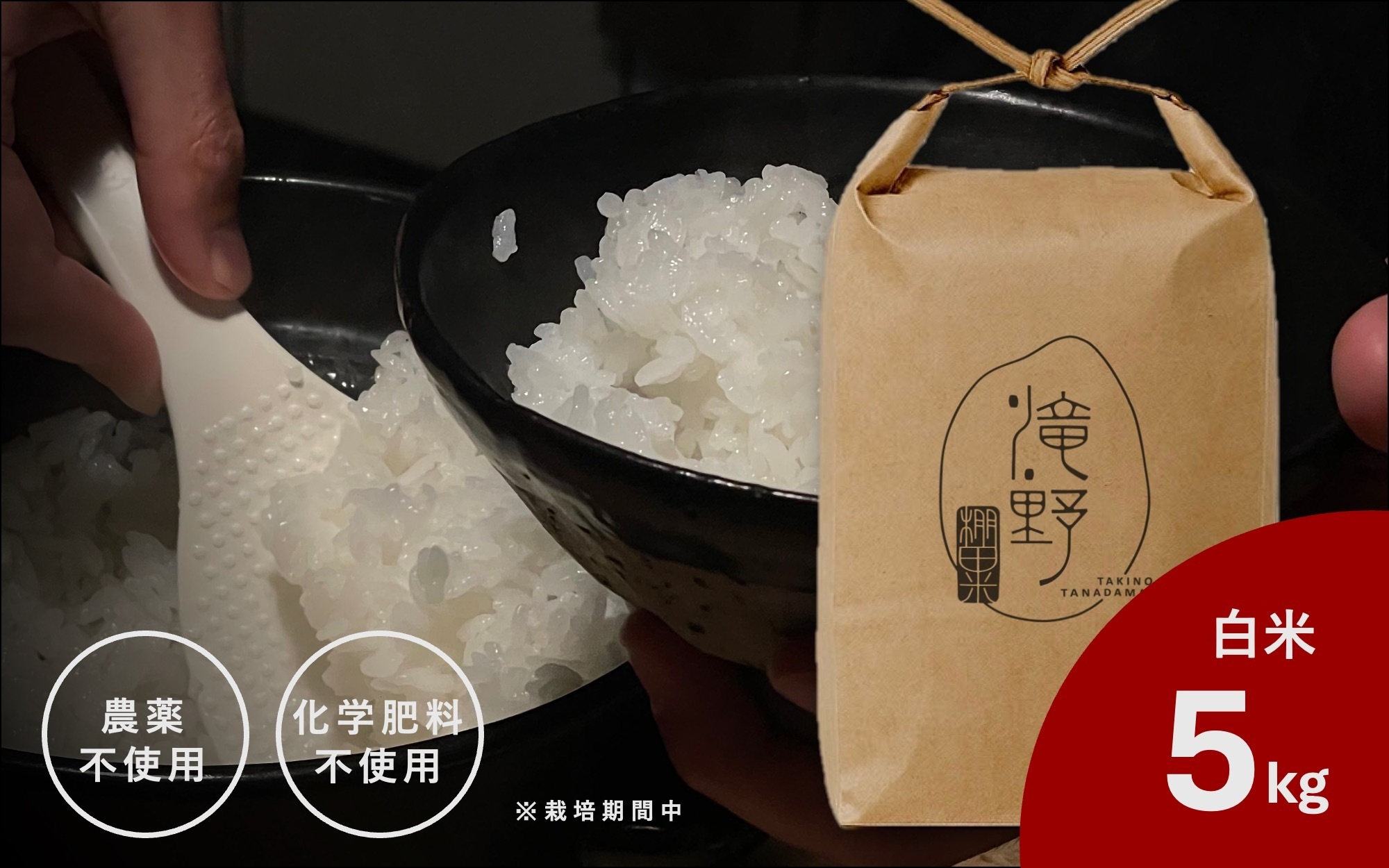 滝野棚田米(白米 5kg) 211-B813