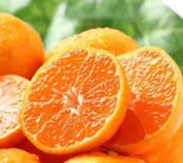 ããŠã¹ã¿ãã1kgåç²§ç®±å
¥ã 214-B918