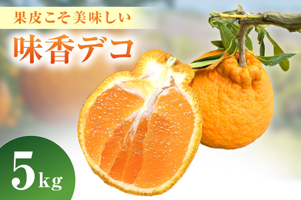 【3月上旬から順次発送】果皮こそ美味しい味香デコ 5kg 糖度14度以上 不知火 222-B996