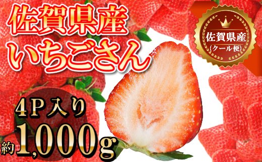 佐賀県産 いちごさん 合計約1kg 250ｇ×4パック 苺 いちご イチゴ B712