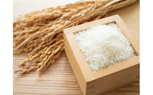 佐賀県産 ゆめしずく 白米4.5kg×3回定期便 999-B826