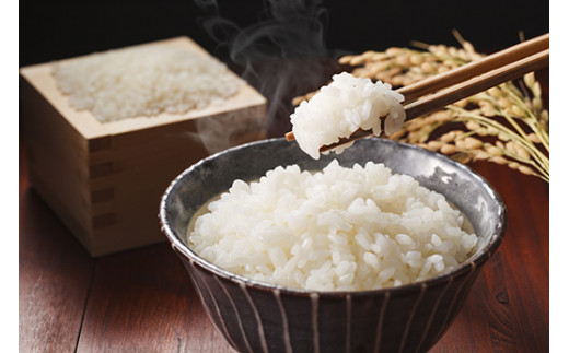 佐賀県産ゆめしずく（特A） 白米4.5kgと玄米5kg 015-B825