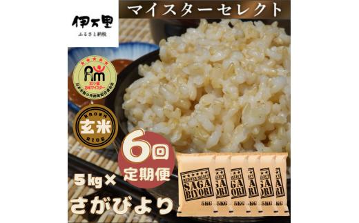 【定期便】【玄米】さがびより５kg×６回 B560