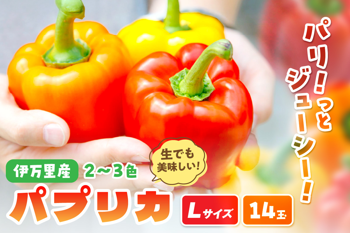 伊万里産 肉厚ジューシー パプリカ Lサイズ14玉入 048-B999