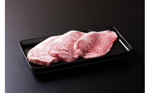 【6ヶ月定期便】佐賀牛 肥前さくらポーク ありたどり 食べ比べセット 計12.1kg ヒレ ロース モモ ハンバーグ ステーキ 999-J1972