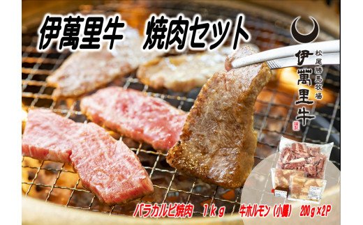 伊万里牛 焼肉セット カルビ＆ホルモン J714