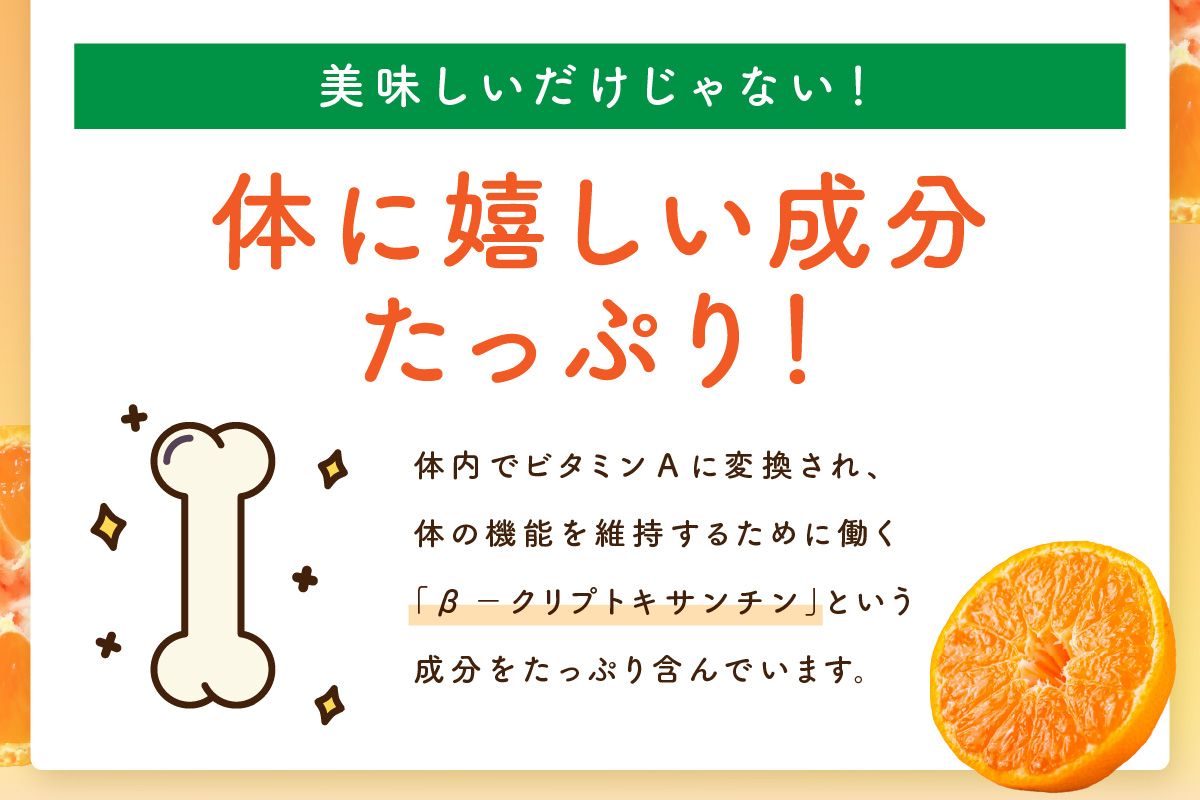 【佐賀県産温州みかん100%使用】 みかんジュース みかんのきもち 1箱（280ml×24本） A038