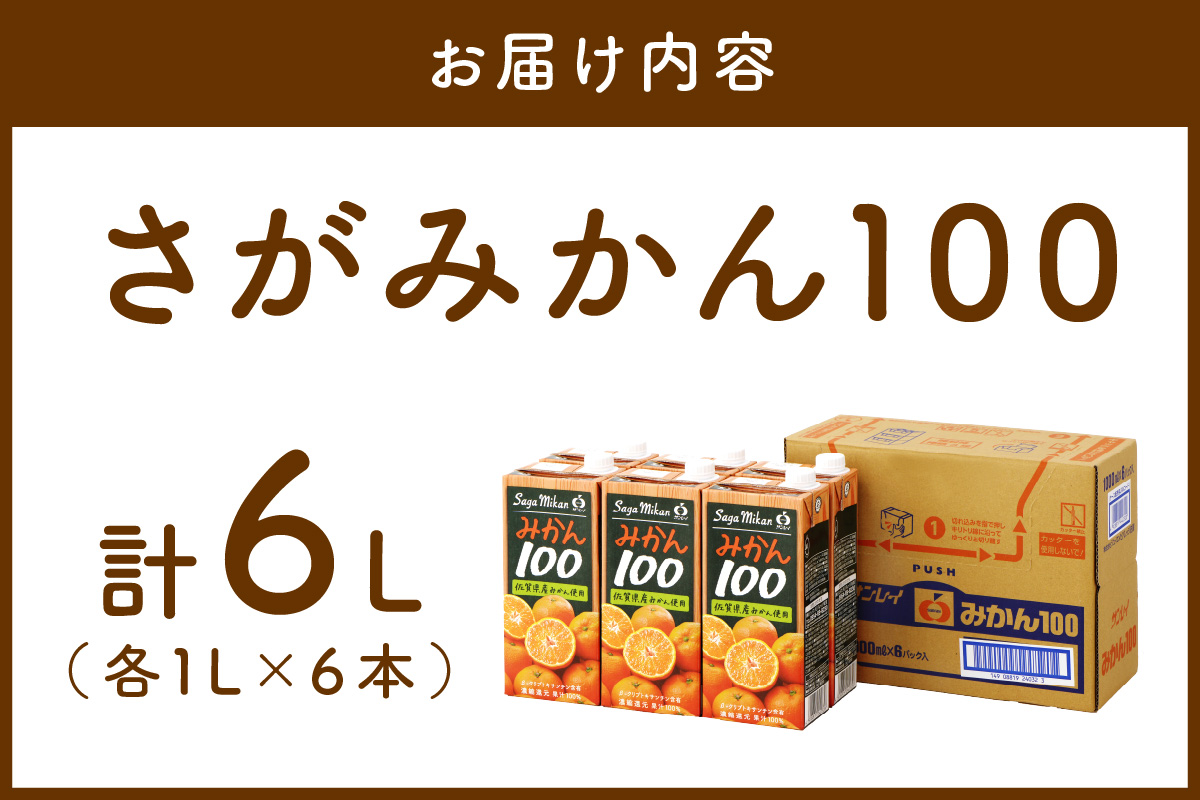 【佐賀県産温州みかん使用】 みかんジュース さがみかん100　1L×6本 果汁100% A042