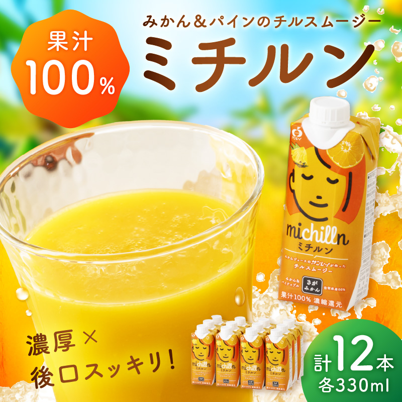 【佐賀県産温州みかん使用】 果汁 ミックスジュース ミチルン 330ml×12本 173-A058