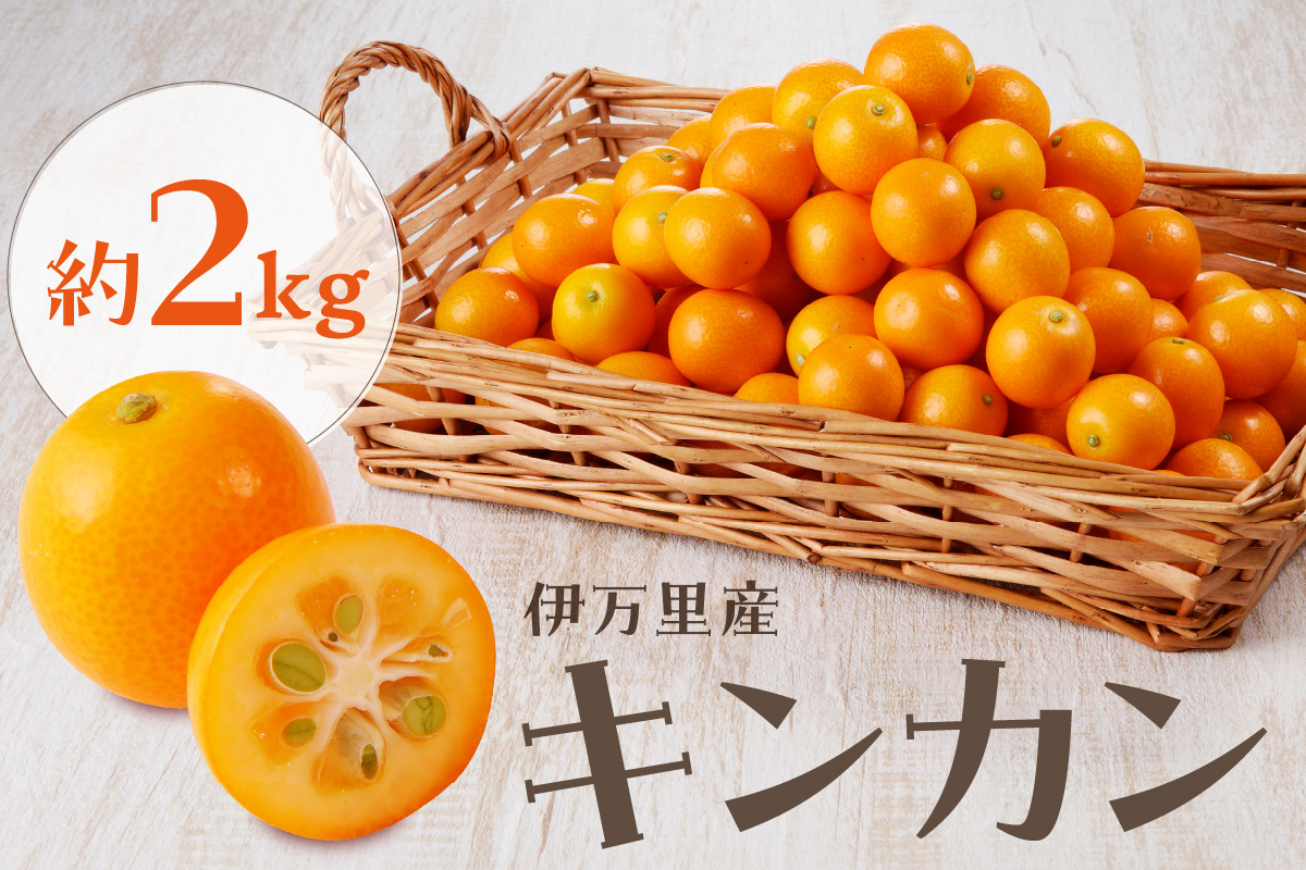 【減農薬】伊万里産キンカン (2Lサイズ)2kg 柑橘類 003-B966