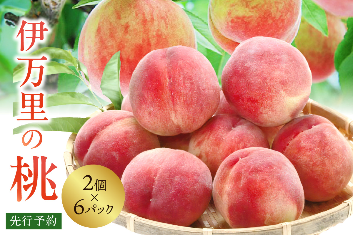 【先行予約】伊万里の桃 2個×6パック 178-B970