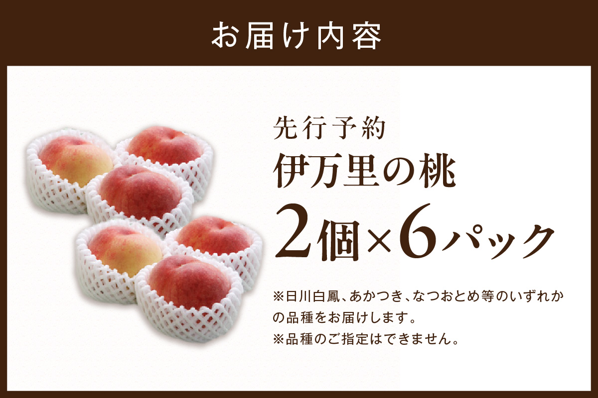 【先行予約】伊万里の桃 2個×6パック 178-B970