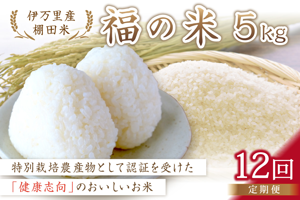 【10月から順次発送】 令和6年産 特別栽培 棚田米「福の米」 5kg×12回 （定期便） B672