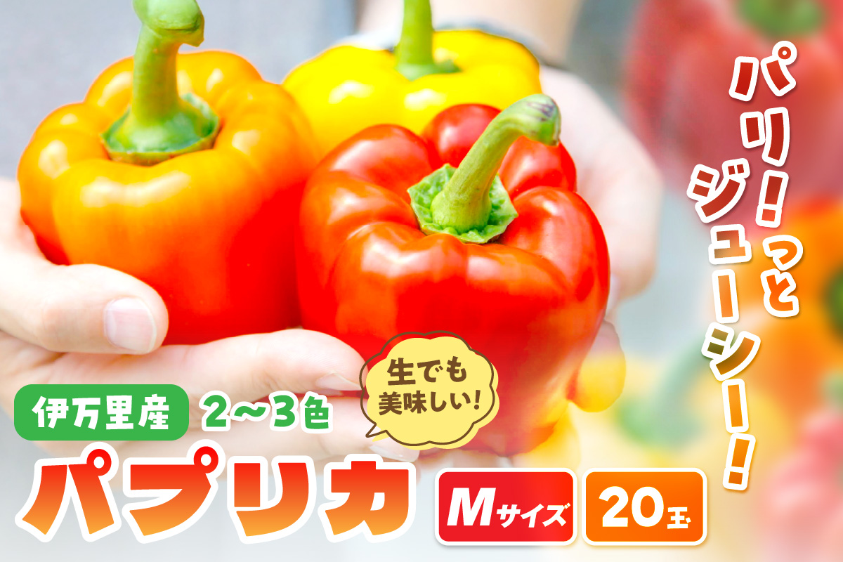 伊万里産 肉厚ジューシー パプリカ Mサイズ20玉入 B711