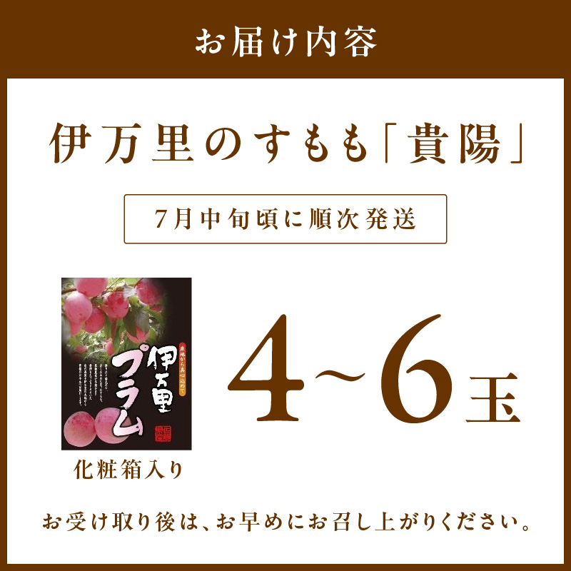 【先行予約】伊万里のすもも「貴陽」化粧箱入り(4～6玉) 003-B960