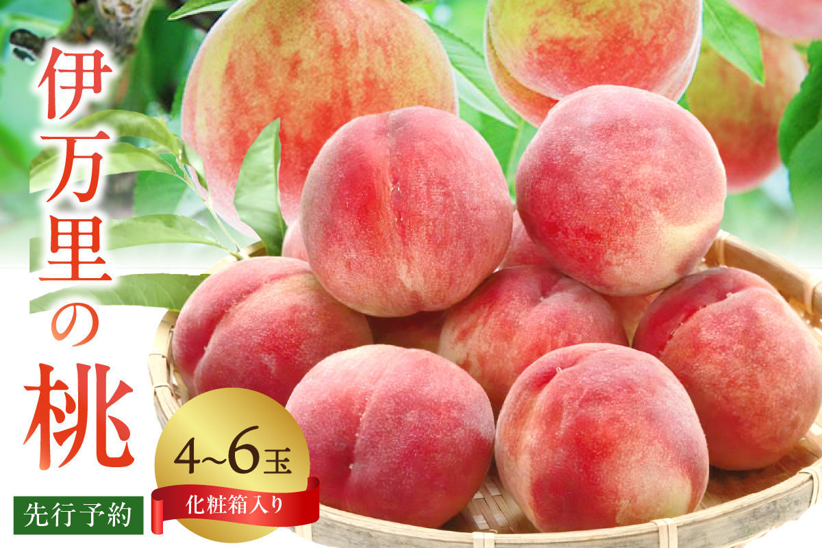 【先行予約】伊万里の桃 化粧箱入り（4～6玉） 178-B962